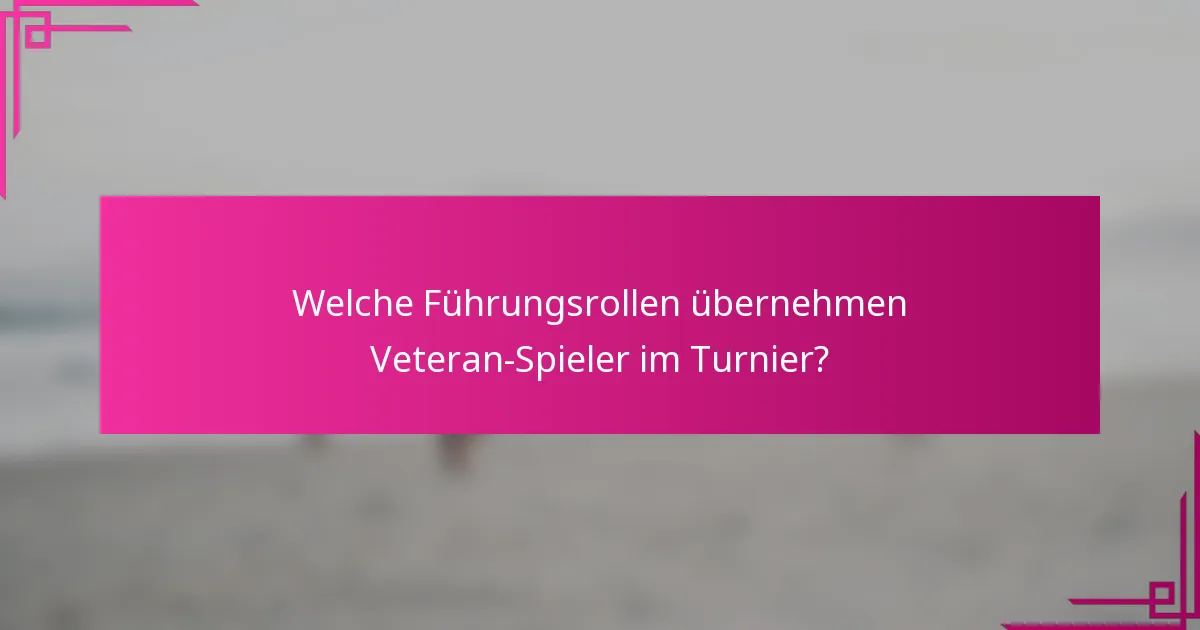 Welche Führungsrollen übernehmen Veteran-Spieler im Turnier?